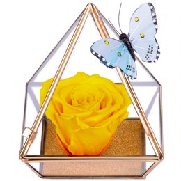 Imagem de Pirâmide da Rosa Encantada Amarela