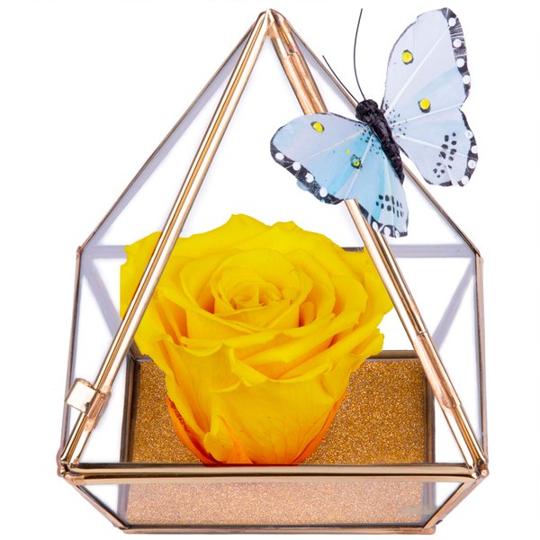 Pirâmide da Rosa Encantada Amarela