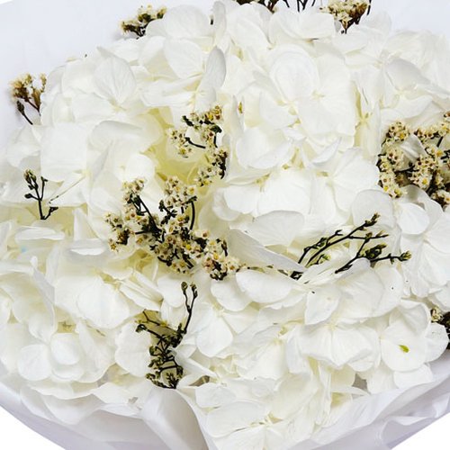 Buquê de Hortênsia Encantada Branco