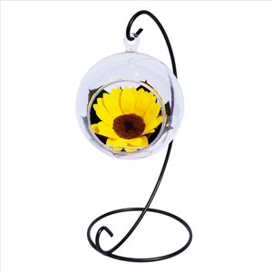 Imagem de Pêndulo de Girassol Encantado