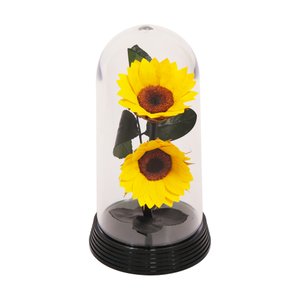 Imagem de Belos Girassóis Encantados