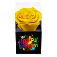 Rosa Encantada Amarela Happy Birthday