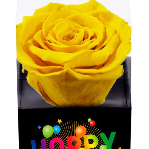 Rosa Encantada Amarela Happy Birthday