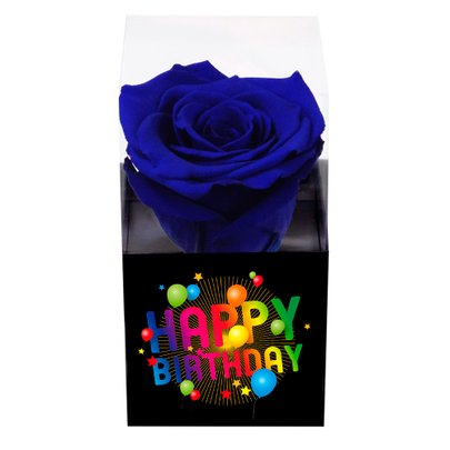 Rosa Encantada Azul Happy Birthday