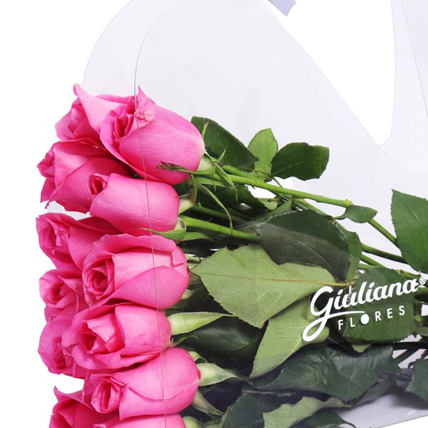 Crystal Bag de Rosas Pink