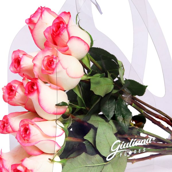 Crystal Bag de Rosas Cor de Rosa
