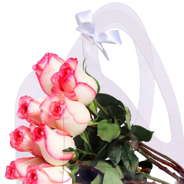 Crystal Bag de Rosas Cor de Rosa