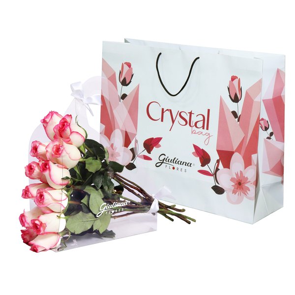 Crystal Bag de Rosas Cor de Rosa