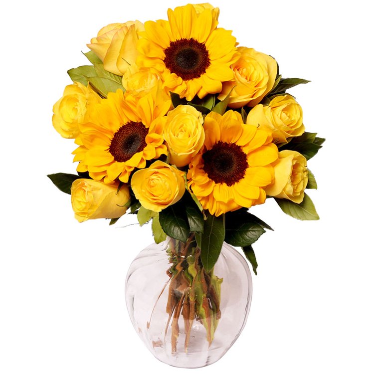 Girassol no Vaso com Rosas Amarelas