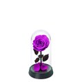 A Bela Rosa Encantada Púrpura