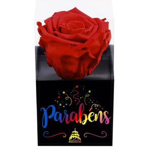 Imagem de Rosa Encantada Vermelha Parabéns