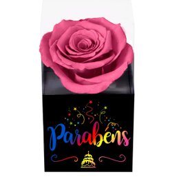 Imagem de Rosa Encantada Violeta Parabéns