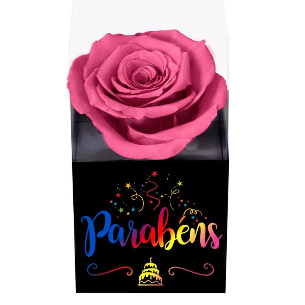 Rosa Encantada Violeta Parabéns