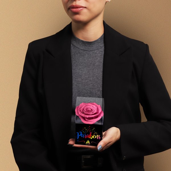 Rosa Encantada Violeta Parabéns