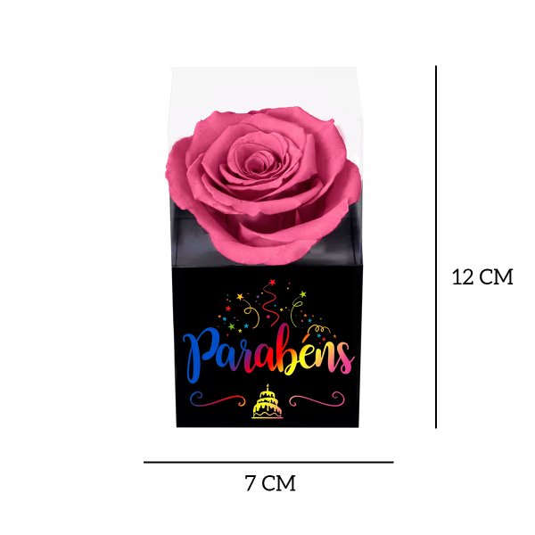 Rosa Encantada Violeta Parabéns