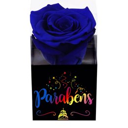 Imagem de Rosa Encantada Azul Parabéns