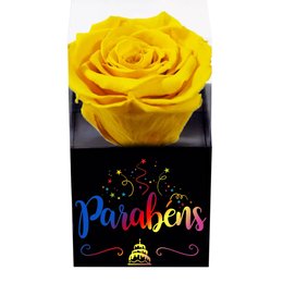 Imagem de Rosa Encantada Amarela Parabéns