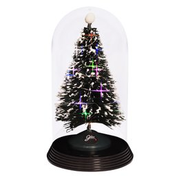 Imagem de Árvore de Natal na Cúpula