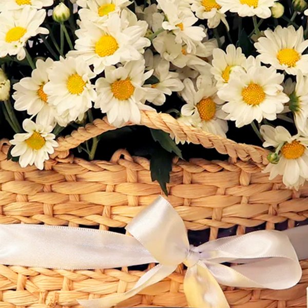 Piquenique de Margaridinhas Brancas e Velas Aromáticas
