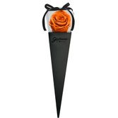 Cone Preto de Rosa Encantada Laranja