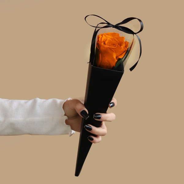Cone Preto de Rosa Encantada Laranja