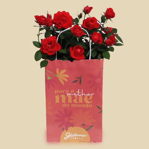 Mini Rosa Vermelha Plantada Para Melhor Mãe