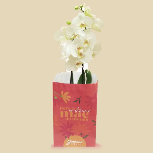 Orquídea Branca Presente Para Melhor Mãe