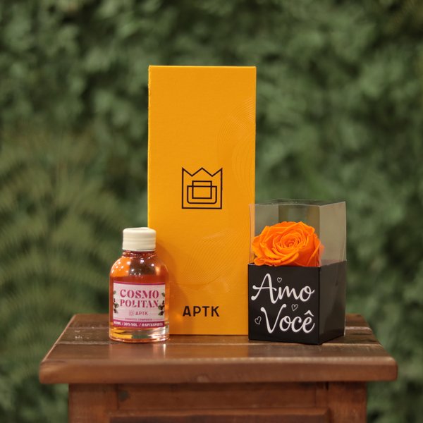 kit Rosa Encantada Laranja e Drinks Cosmopolitan