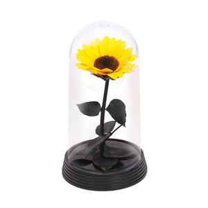 Imagem de Belo Girassol Encantado