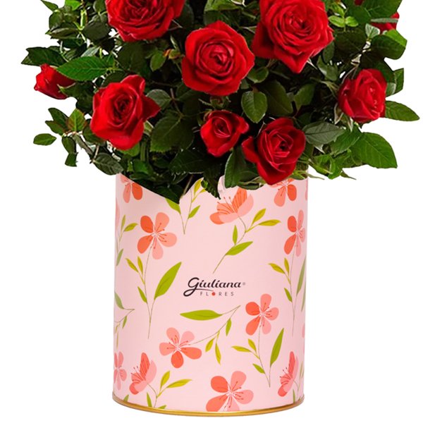 Mini Rosa Vermelha Plantada no Box Florescer