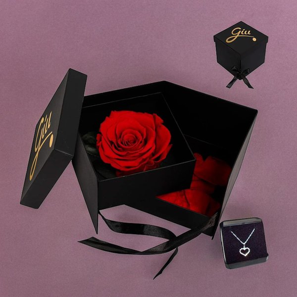 Box Encantado com Colar Strass Amor