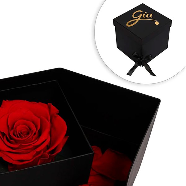 Box Encantado com Colar Strass Amor