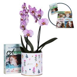 Imagem de Orquídea Phalaenopsis Pink Listrada e Livros Anne