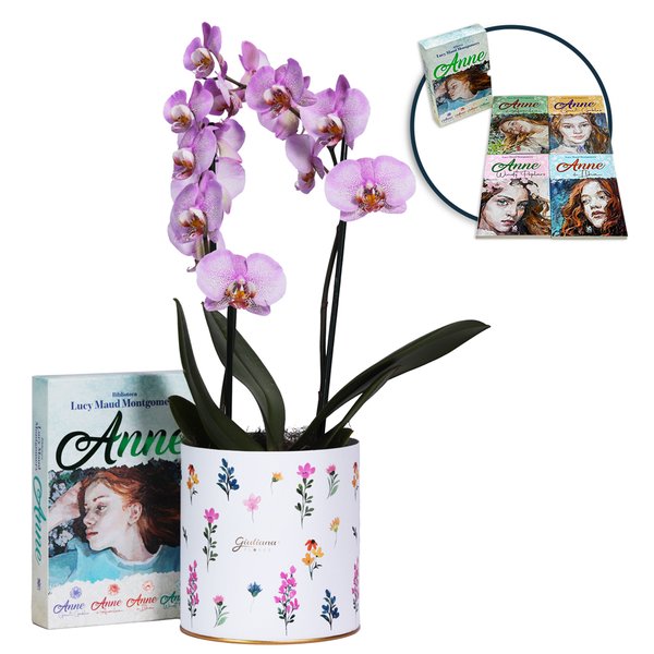 Orquídea Phalaenopsis Pink Listrada e Livros Anne