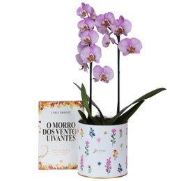 Imagem de Orquídea Phalaenopsis Pink Listrada e Livro O Morro...