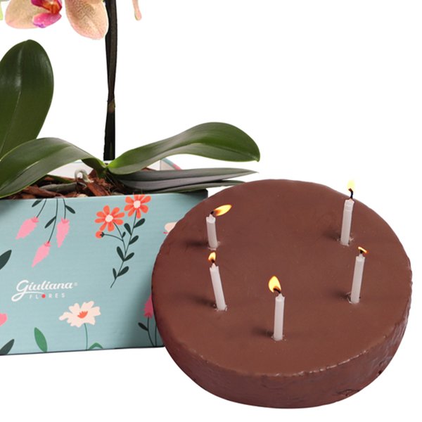 Bolo e Dupla de Ilustre Mini Orquídea Amarela e Salmão