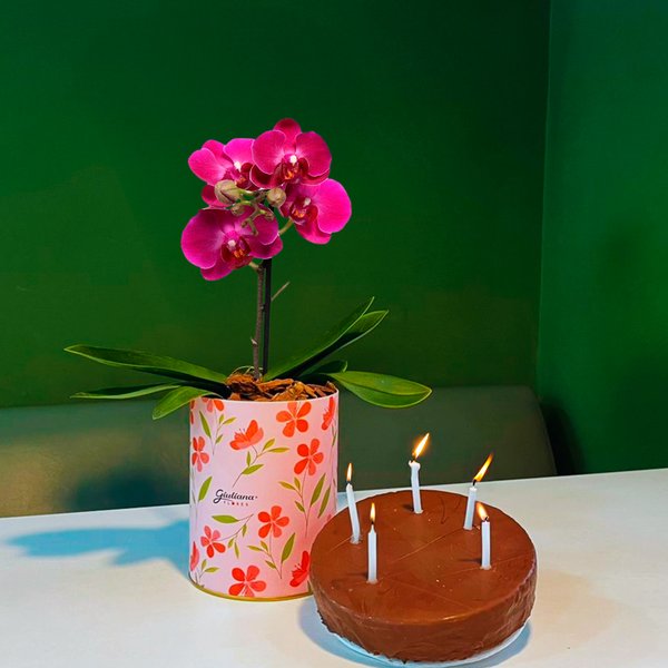 Bolo e Mini Orquídea Ilustre Lilás no Box Florescer