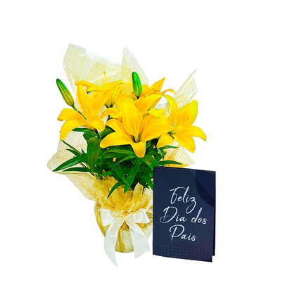 Lírio Amarelo Plantado e Cartão Feliz Dia dos Pais
