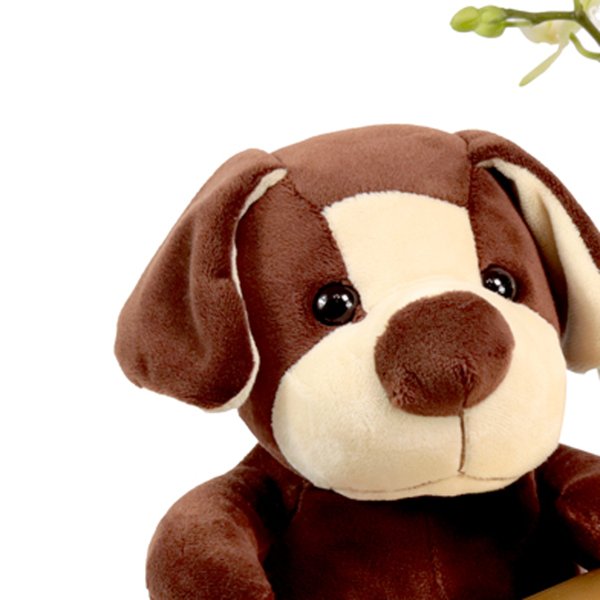 Cesta Flowers e Dog