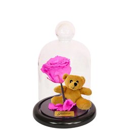 Imagem de Mini Rosa Encantada Pink e Urso Chaveirinho