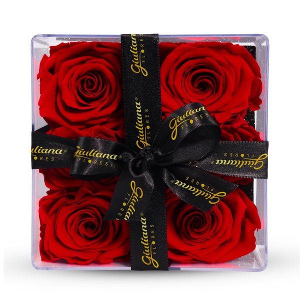 Box Crystal com Rosas Encantadas Vermelhas