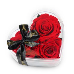 Imagem de Box Crystal Coração com Rosas Encantadas Vermelhas