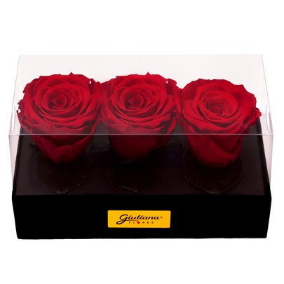 Caixa Presente com 3 Rosas Encantadas Vermelhas