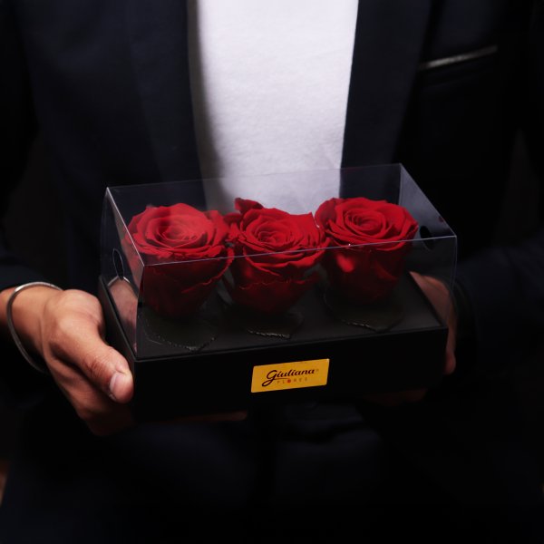 Caixa Presente com 3 Rosas Encantadas Vermelhas
