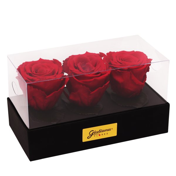 Caixa Presente com 3 Rosas Encantadas Vermelhas