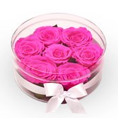 Box Crystal Redonda com 6 Rosas Encantadas Pink