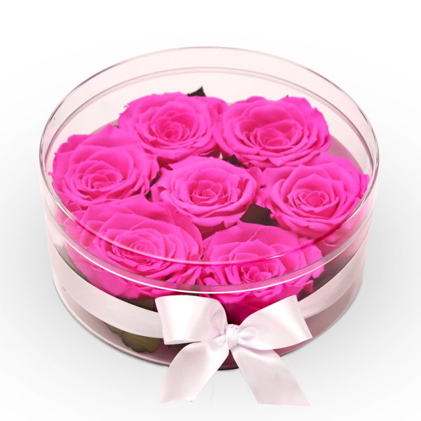 Box Crystal Redonda com 6 Rosas Encantadas Pink