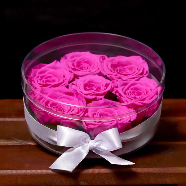 Box Crystal Redonda com 6 Rosas Encantadas Pink
