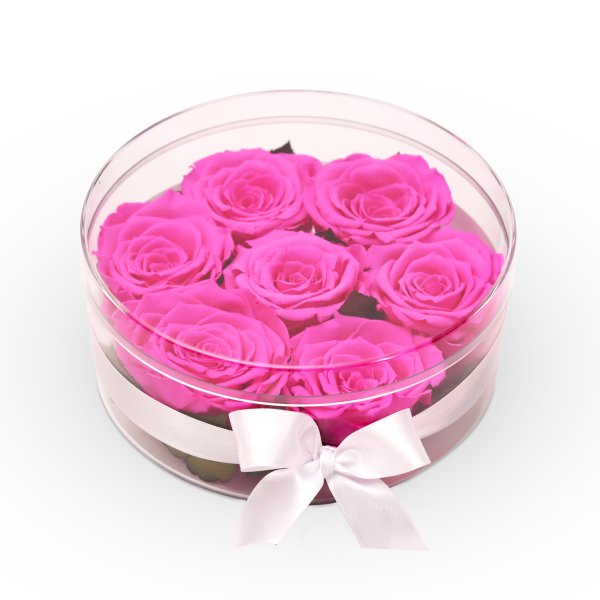 Box Crystal Redonda com 6 Rosas Encantadas Pink