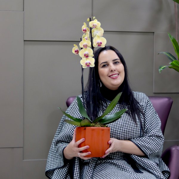 Orquídea Phalaenopsis Amarela Garden